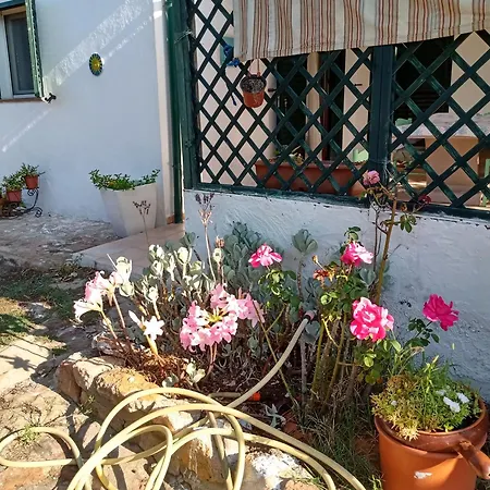 Gioia House Rome